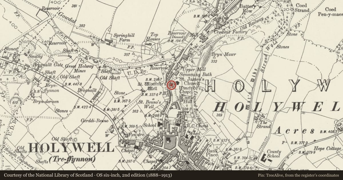 Ordnance Survey six-inch map, 2nd edition (1888–1913) covering the location of St Winefride's Chapel and Well, Holywell, Flintshire, with a pin at the register's coordinates