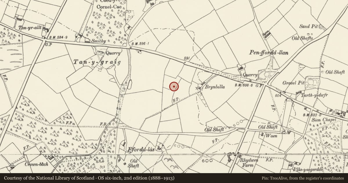 Ordnance Survey six-inch map, 2nd edition (1888–1913) covering the location of Brynbella Mound, and sections of Offas Dyke adjoining it., Whitford, Flintshire, with a pin at the register's coordinates