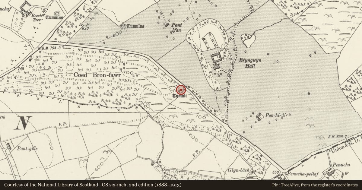 Ordnance Survey six-inch map, 2nd edition (1888–1913) covering the location of Coed Bron-Fawr Round Barrow, Caerwys, Flintshire, with a pin at the register's coordinates