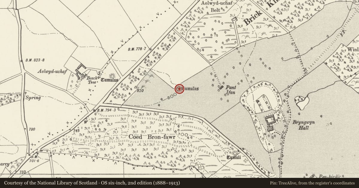 Ordnance Survey six-inch map, 2nd edition (1888–1913) covering the location of Pant Ifan Round Barrow, Caerwys, Flintshire, with a pin at the register's coordinates