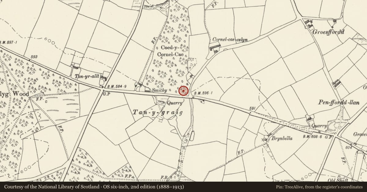 Ordnance Survey six-inch map, 2nd edition (1888–1913) covering the location of Offa's Dyke: Tan-y-Graig Section, Whitford, Flintshire, with a pin at the register's coordinates