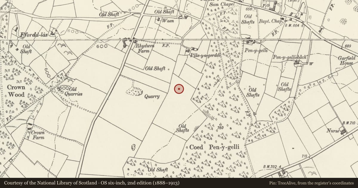 Ordnance Survey six-inch map, 2nd edition (1888–1913) covering the location of Offa's Dyke: Section from Rhydwen-Fach to Coed Pen-y-Gelli, Whitford, Flintshire, with a pin at the register's coordinates