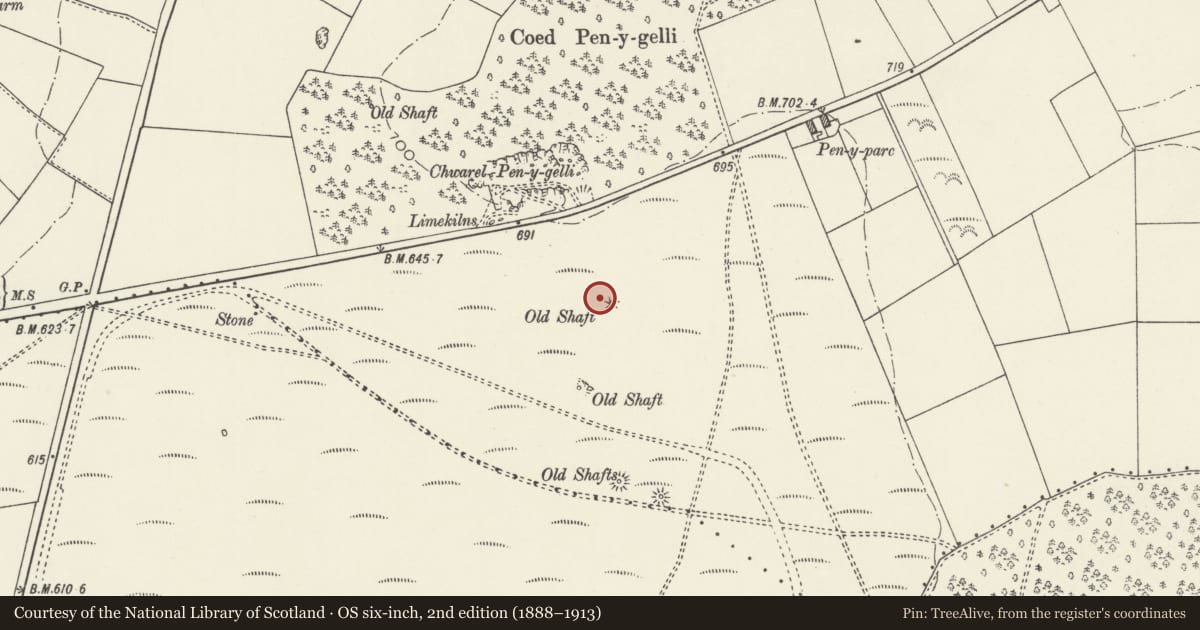 Ordnance Survey six-inch map, 2nd edition (1888–1913) covering the location of Ffrith y Garreg-Wen Round Barrow, Caerwys, Flintshire, with a pin at the register's coordinates
