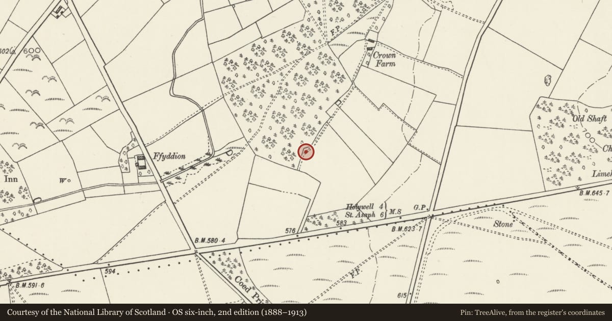 Ordnance Survey six-inch map, 2nd edition (1888–1913) covering the location of Crown Wood Round Barrow, Whitford, Flintshire, with a pin at the register's coordinates