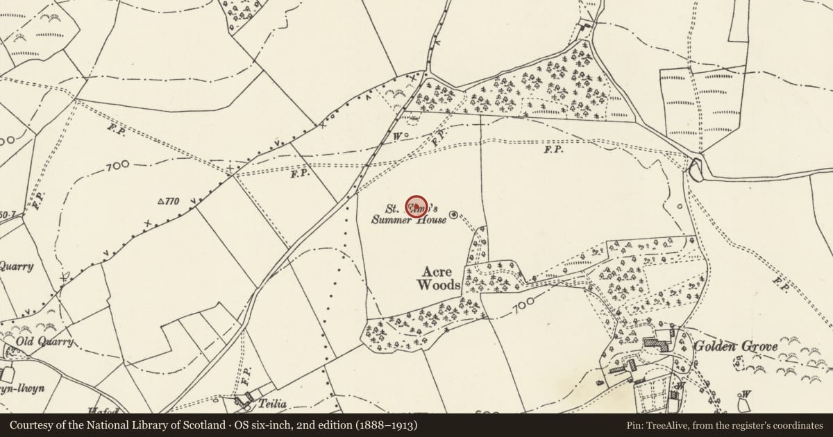 Ordnance Survey six-inch map, 2nd edition (1888–1913) covering the location of St Elmo's Summer House Round Barrows, Llanasa, Flintshire, with a pin at the register's coordinates