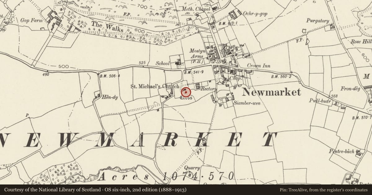 Ordnance Survey six-inch map, 2nd edition (1888–1913) covering the location of Trelawnyd Churchyard Cross, Trelawnyd and Gwaenysgor, Flintshire, with a pin at the register's coordinates