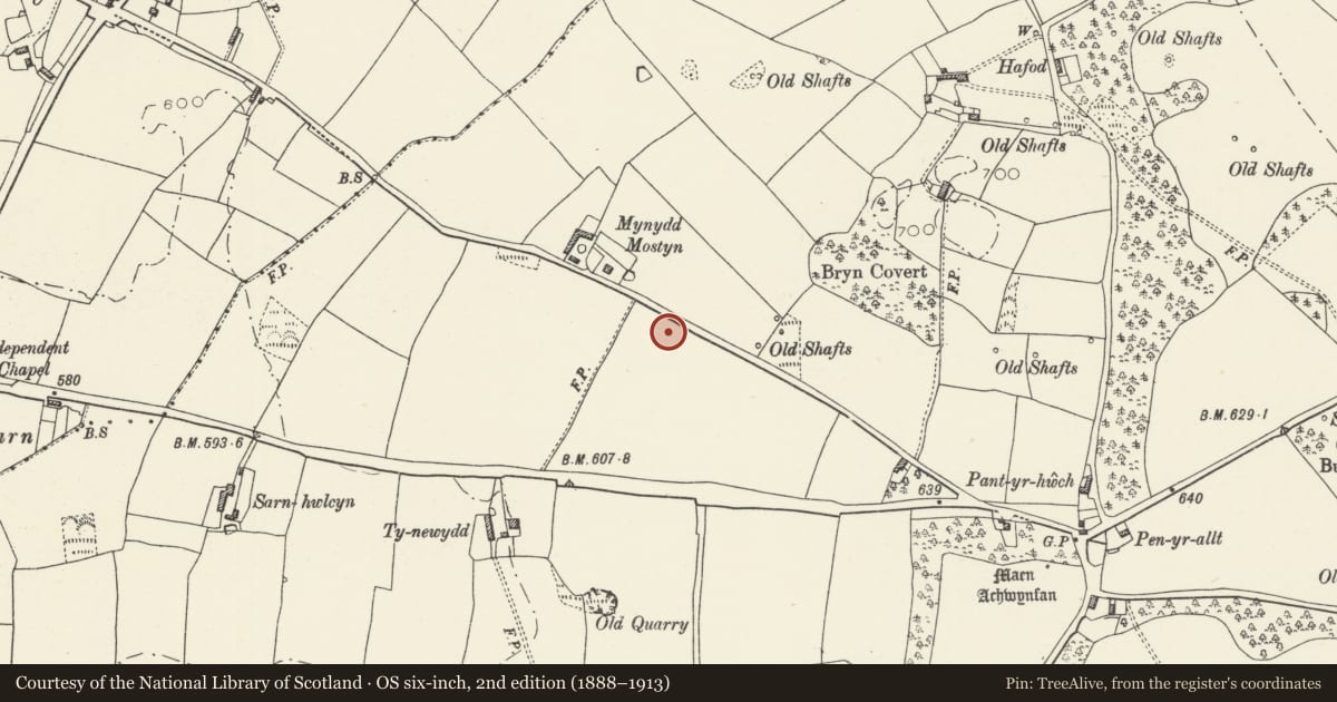 Ordnance Survey six-inch map, 2nd edition (1888–1913) covering the location of Bryn Digrif Round Barrows, Whitford, Flintshire, with a pin at the register's coordinates