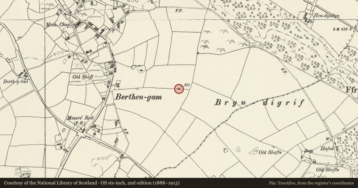 Ordnance Survey six-inch map, 2nd edition (1888–1913) covering the location of Barrows 378m E of Berthen-Gam School, Llanasa, Flintshire, with a pin at the register's coordinates