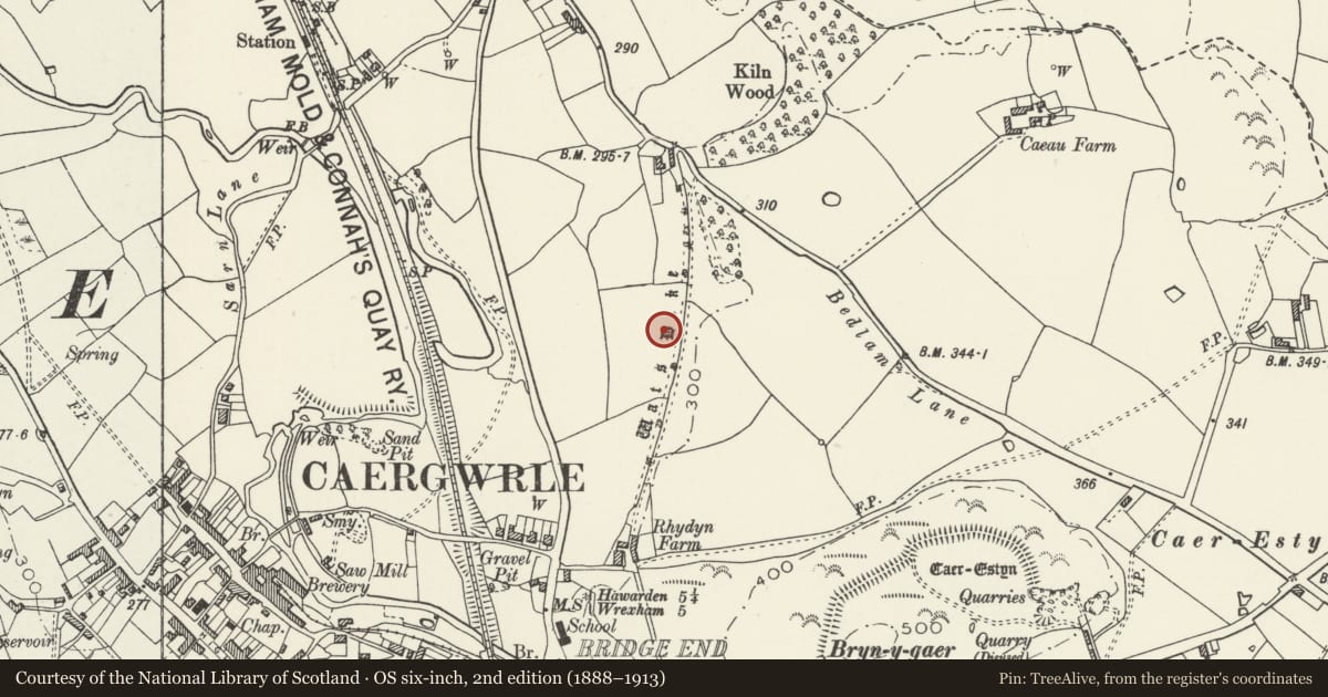 Ordnance Survey six-inch map, 2nd edition (1888–1913) covering the location of Wat's Dyke: Section N of Rhydyn Farm, Hope, Flintshire, with a pin at the register's coordinates