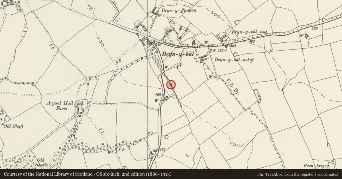 Ordnance Survey six-inch map, 2nd edition (1888–1913) covering the location of Wat's Dyke: Sections S of Bryn y Bal, Argoed, Flintshire, with a pin at the register's coordinates