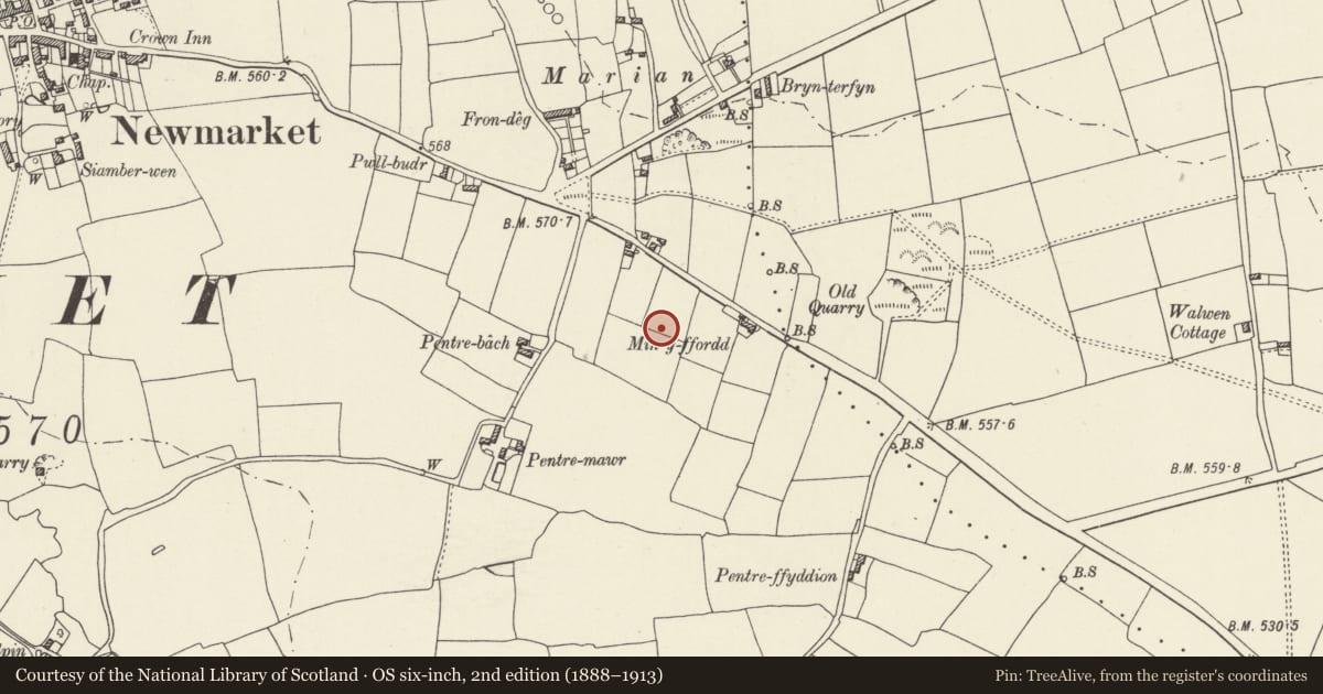 Ordnance Survey six-inch map, 2nd edition (1888–1913) covering the location of Offa's Dyke: Section E of Trelawnyd, Trelawnyd and Gwaenysgor, Flintshire, with a pin at the register's coordinates