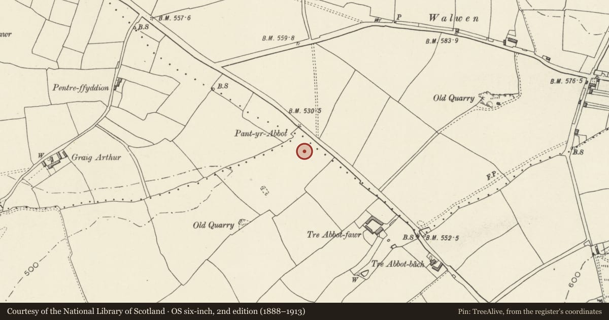 Ordnance Survey six-inch map, 2nd edition (1888–1913) covering the location of Offa's Dyke: Section North West of Tre Abbot-Fawr, Trelawnyd and Gwaenysgor, Flintshire, with a pin at the register's coordinates