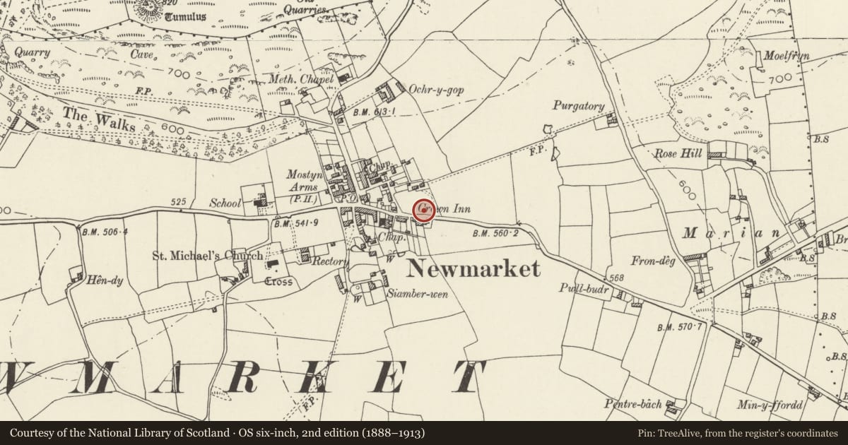 Ordnance Survey six-inch map, 2nd edition (1888–1913) covering the location of Offa's Dyke: Section North of Crown Inn, Trelawnyd and Gwaenysgor, Flintshire, with a pin at the register's coordinates