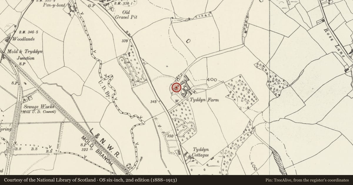 Ordnance Survey six-inch map, 2nd edition (1888–1913) covering the location of Tyddyn Castle Mound, Argoed, Flintshire, with a pin at the register's coordinates
