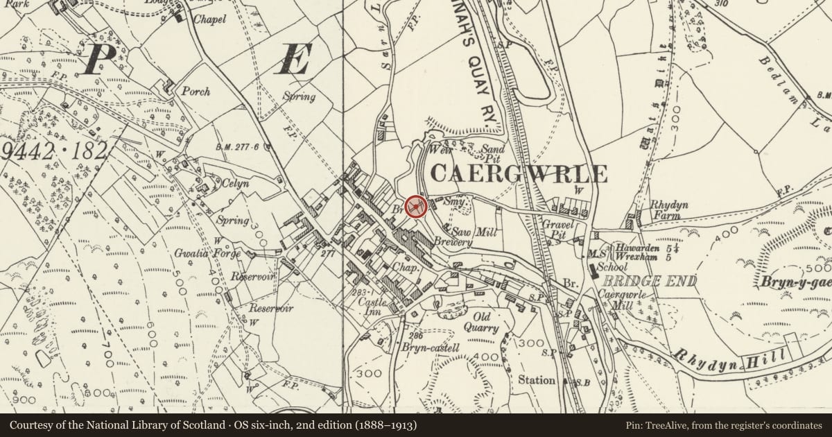 Ordnance Survey six-inch map, 2nd edition (1888–1913) covering the location of Caergwrle Packhorse Bridge, Hope, Flintshire, with a pin at the register's coordinates