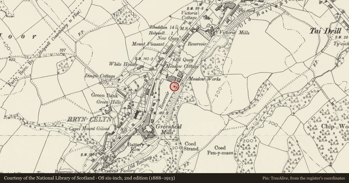 Ordnance Survey six-inch map, 2nd edition (1888–1913) covering the location of Greenfield Valley Mills, Holywell, Flintshire, with a pin at the register's coordinates