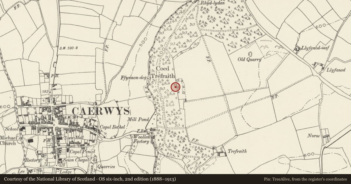 Ordnance Survey six-inch map, 2nd edition (1888–1913) covering the location of Coed Trefraith Enclosure, Ysceifiog, Flintshire, with a pin at the register's coordinates