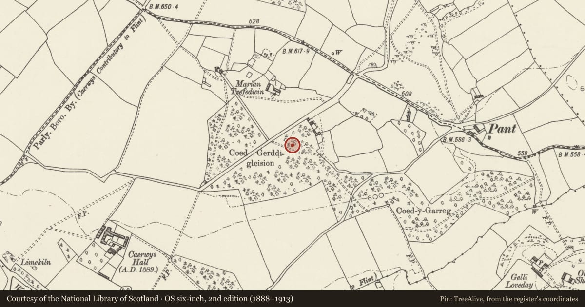 Ordnance Survey six-inch map, 2nd edition (1888–1913) covering the location of Hen Caerwys Deserted Village Site, Flintshire, with a pin at the register's coordinates