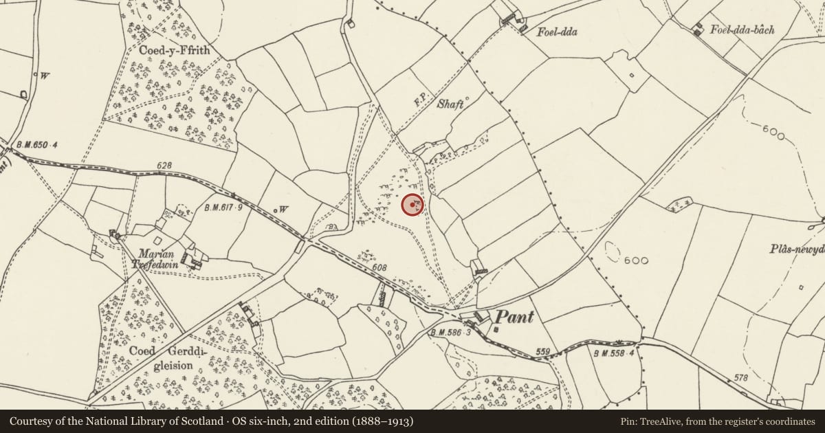 Ordnance Survey six-inch map, 2nd edition (1888–1913) covering the location of Enclosure, Field System & Hollow-ways North of Pant, Caerwys, Flintshire, with a pin at the register's coordinates