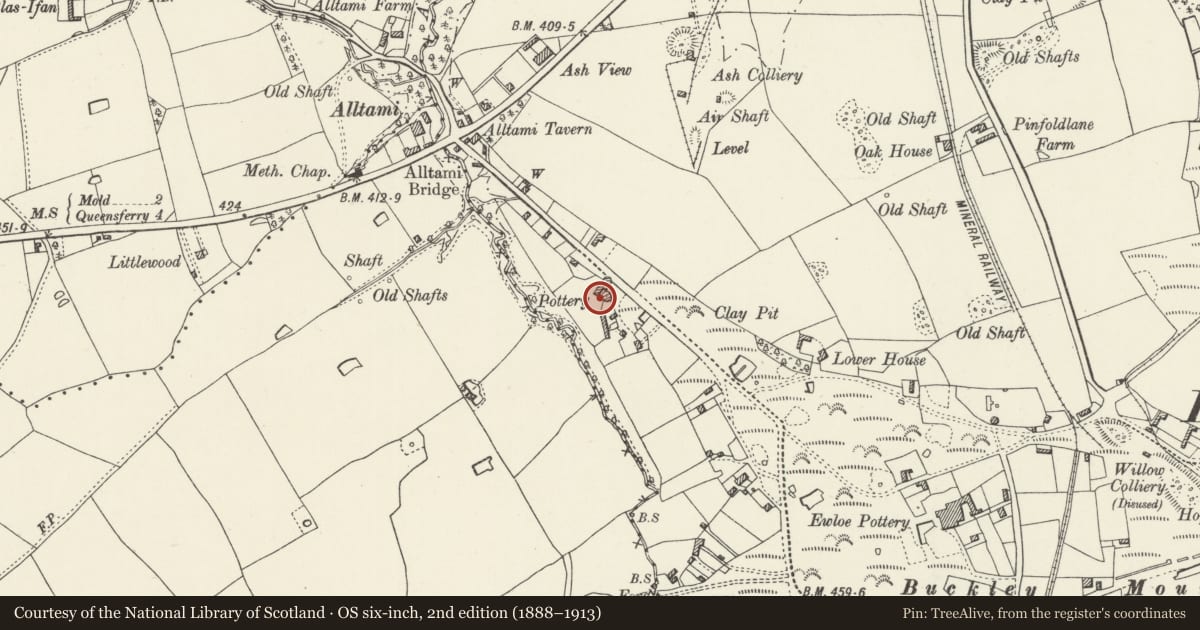 Ordnance Survey six-inch map, 2nd edition (1888–1913) covering the location of Taylor's Pottery, Buckley, Flintshire, with a pin at the register's coordinates