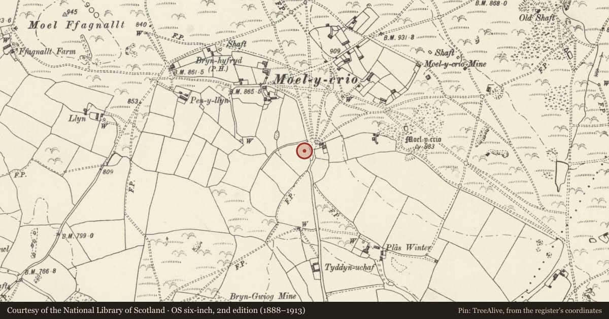 Ordnance Survey six-inch map, 2nd edition (1888–1913) covering the location of Hen-y-Fail Round Barrow, Halkyn, Flintshire, with a pin at the register's coordinates