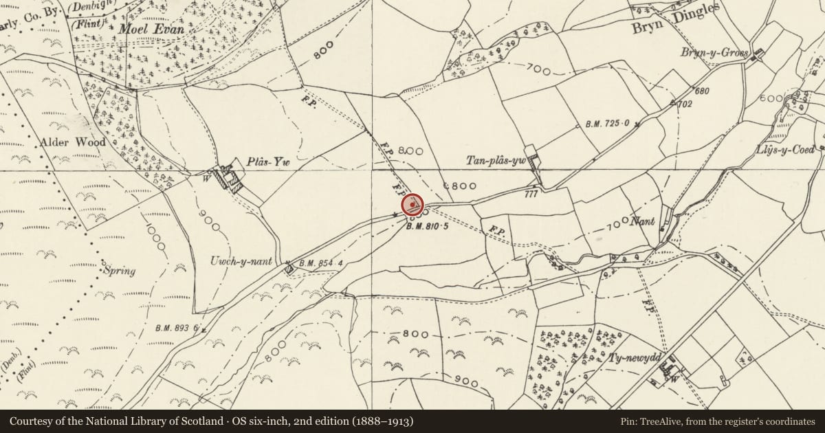 Ordnance Survey six-inch map, 2nd edition (1888–1913) covering the location of Plas-Yw Round Barrows, Cilcain, Flintshire, with a pin at the register's coordinates