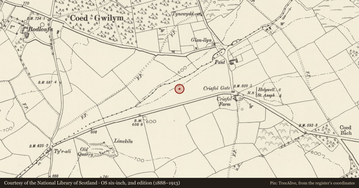 Ordnance Survey six-inch map, 2nd edition (1888–1913) covering the location of Criafol Round Barrow, Tremeirchion, Denbighshire, with a pin at the register's coordinates