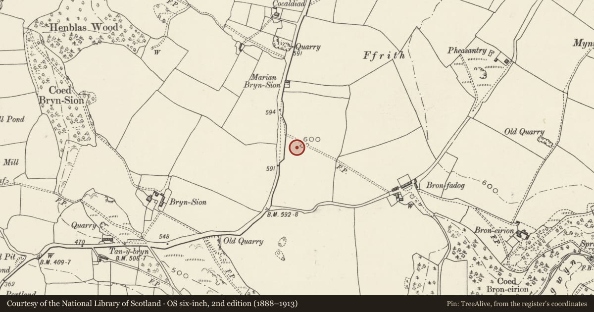 Ordnance Survey six-inch map, 2nd edition (1888–1913) covering the location of Bron Fadog Enclosure, Ysceifiog, Flintshire, with a pin at the register's coordinates
