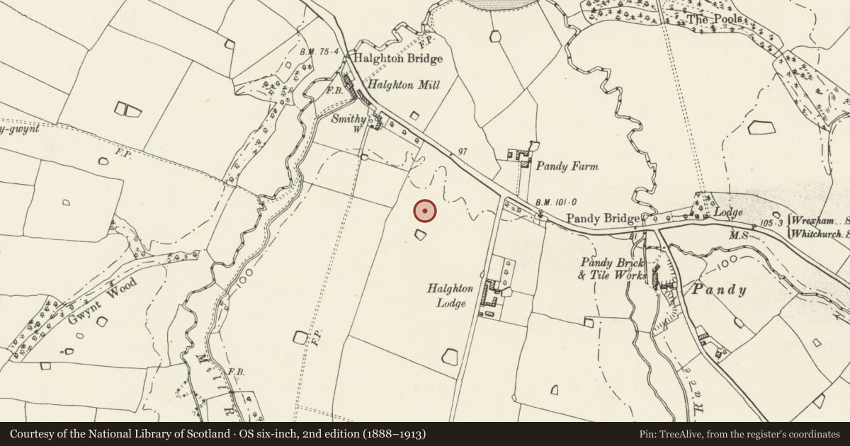 Ordnance Survey six-inch map, 2nd edition (1888–1913) covering the location of Halghton Lodge Moated Site, Hanmer, Wrexham, with a pin at the register's coordinates