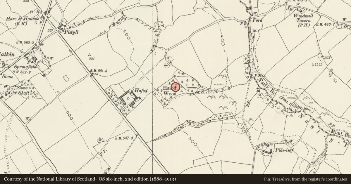Ordnance Survey six-inch map, 2nd edition (1888–1913) covering the location of Hafod Wood Moated Site, Halkyn, Flintshire, with a pin at the register's coordinates