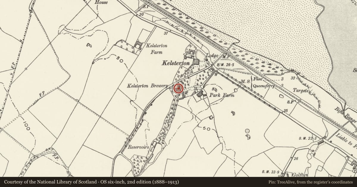 Ordnance Survey six-inch map, 2nd edition (1888–1913) covering the location of Kelsterton Brewery, Connah's Quay, Flintshire, with a pin at the register's coordinates