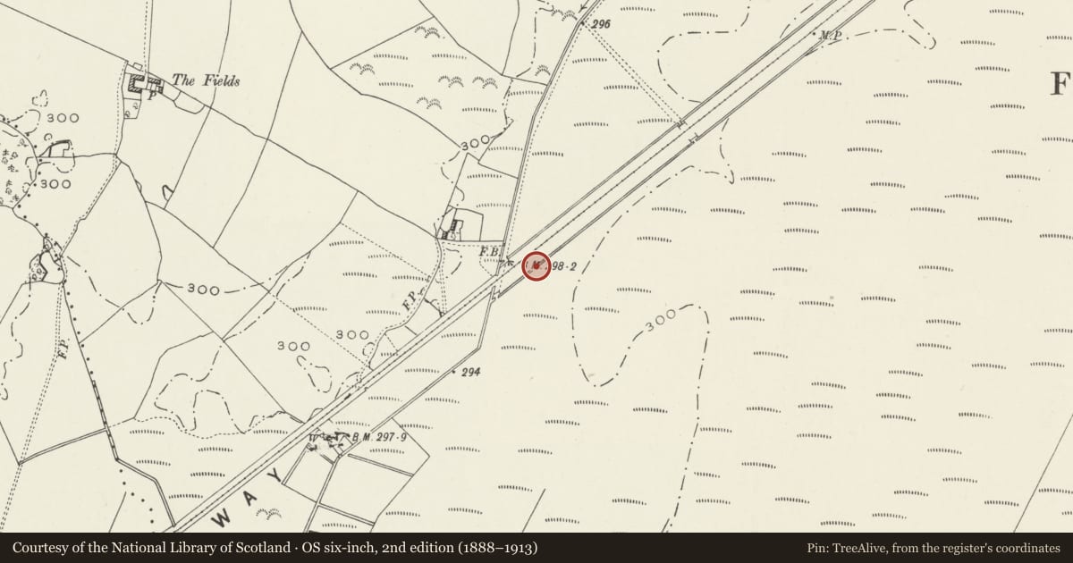 Ordnance Survey six-inch map, 2nd edition (1888–1913) covering the location of Peat Processing Works, Fenn's Moss, Bronington, Wrexham, with a pin at the register's coordinates