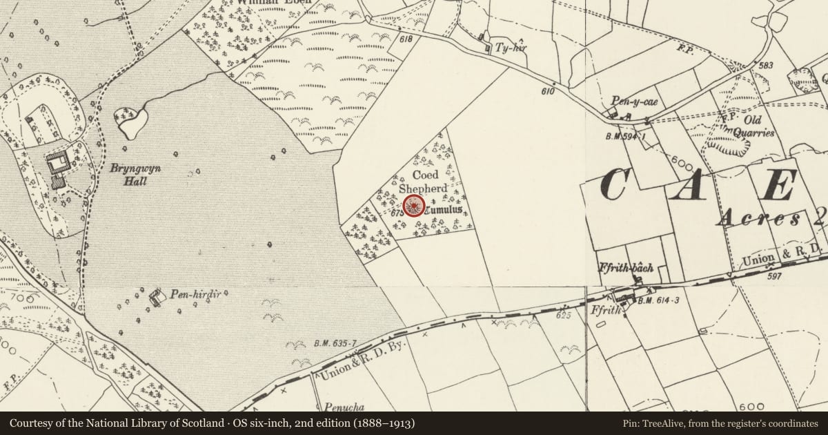 Ordnance Survey six-inch map, 2nd edition (1888–1913) covering the location of Coed Shepherd Round Barrow, Caerwys, Flintshire, with a pin at the register's coordinates