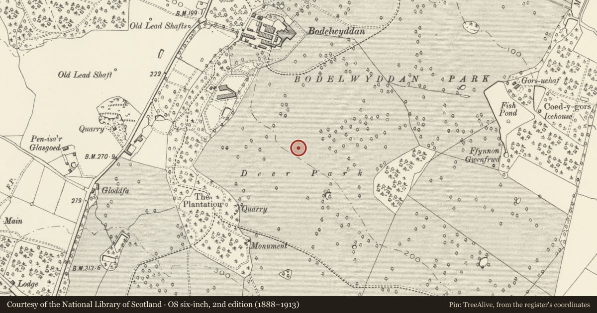 Ordnance Survey six-inch map, 2nd edition (1888–1913) covering the location of First World War Practice Trenches at Bodelwyddan Park, Denbighshire, with a pin at the register's coordinates