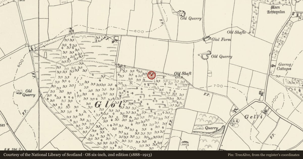 Ordnance Survey six-inch map, 2nd edition (1888–1913) covering the location of Round Barrow 350m SW of Glol Farm, Whitford, Flintshire, with a pin at the register's coordinates