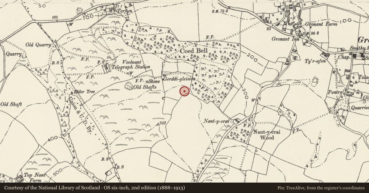 Ordnance Survey six-inch map, 2nd edition (1888–1913) covering the location of Round Barrow at Coed Bell, Gronant, Prestatyn, Denbighshire, with a pin at the register's coordinates