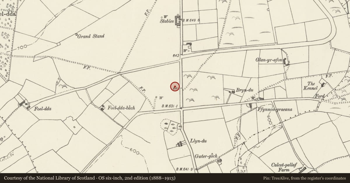 Ordnance Survey six-inch map, 2nd edition (1888–1913) covering the location of Llyn Du Round Barrow, Ysceifiog, Flintshire, with a pin at the register's coordinates
