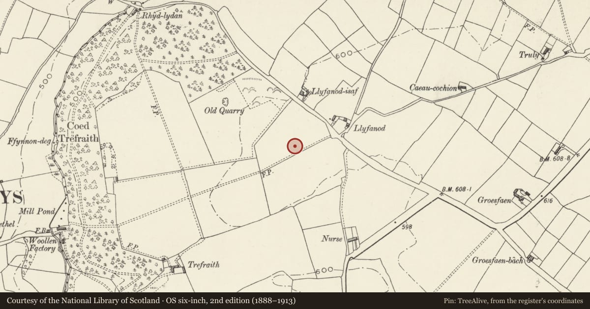 Ordnance Survey six-inch map, 2nd edition (1888–1913) covering the location of Round Barrow WSW of Llyfanod, Ysceifiog, Flintshire, with a pin at the register's coordinates