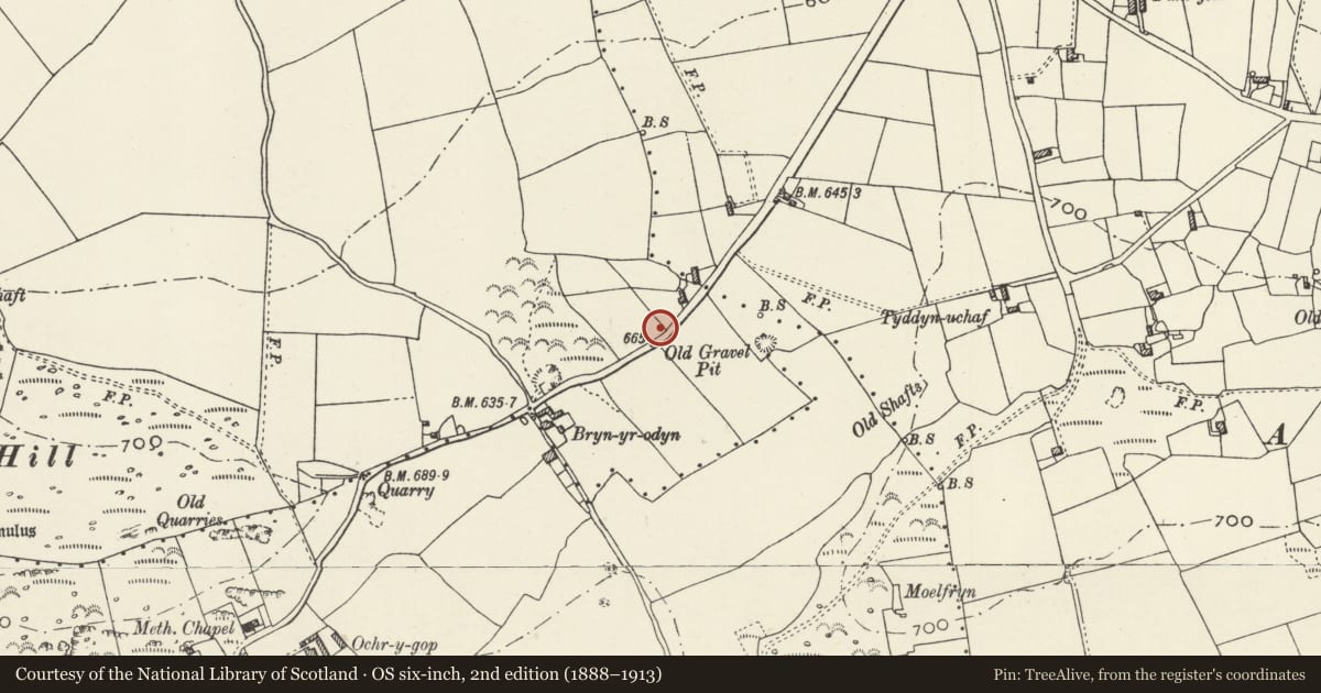 Ordnance Survey six-inch map, 2nd edition (1888–1913) covering the location of Bryn yr Odyn Round Barrow, Trelawnyd and Gwaenysgor, Flintshire, with a pin at the register's coordinates