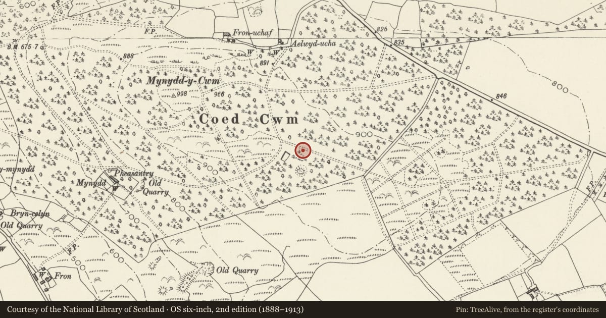 Ordnance Survey six-inch map, 2nd edition (1888–1913) covering the location of Three Round Barrows in Cwm Wood, Denbighshire, with a pin at the register's coordinates