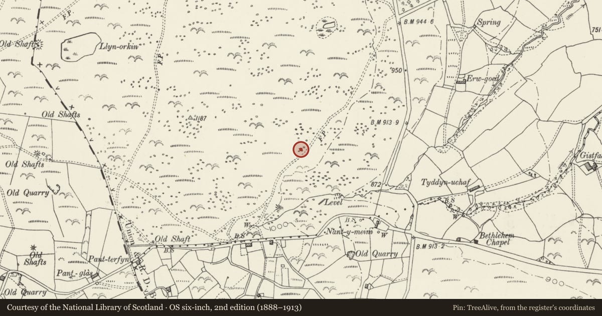 Ordnance Survey six-inch map, 2nd edition (1888–1913) covering the location of Nercwys Mountain Cairn, Flintshire, with a pin at the register's coordinates