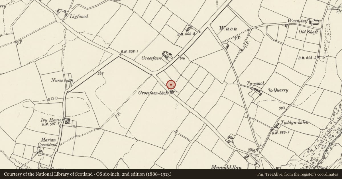 Ordnance Survey six-inch map, 2nd edition (1888–1913) covering the location of Groes Faen Bach round barrow, Ysceifiog, Flintshire, with a pin at the register's coordinates