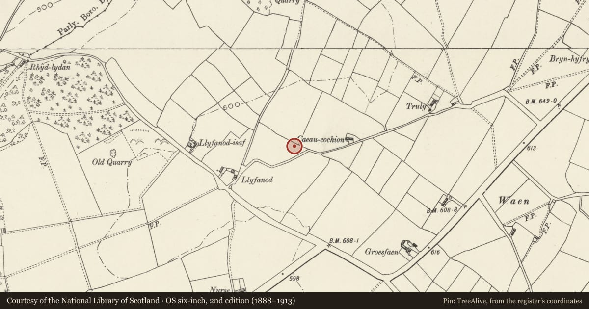 Ordnance Survey six-inch map, 2nd edition (1888–1913) covering the location of Llyfanod round barrow, Ysceifiog, Flintshire, with a pin at the register's coordinates