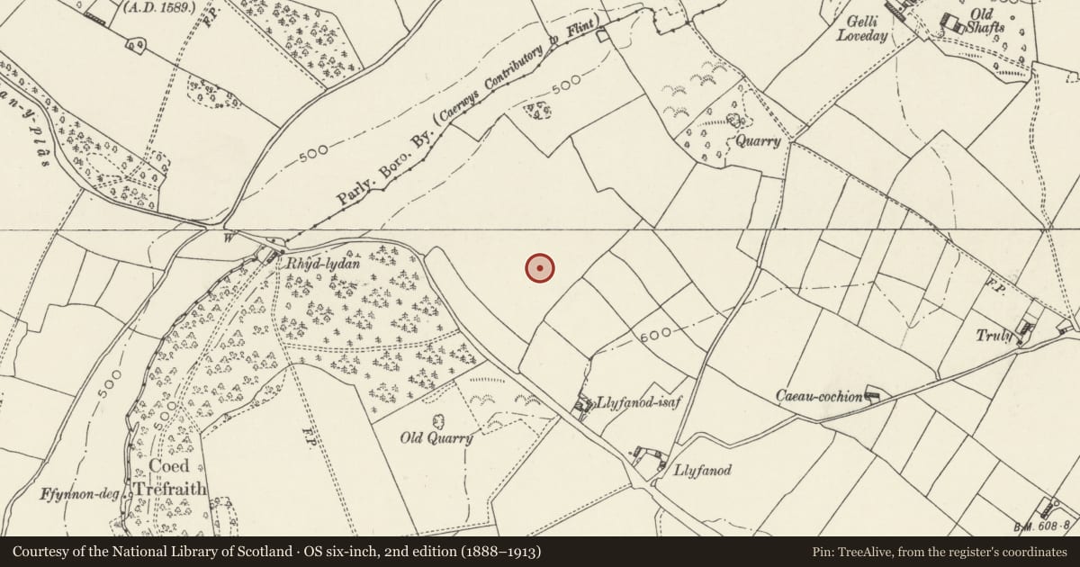 Ordnance Survey six-inch map, 2nd edition (1888–1913) covering the location of Nook round barrow, Ysceifiog, Flintshire, with a pin at the register's coordinates