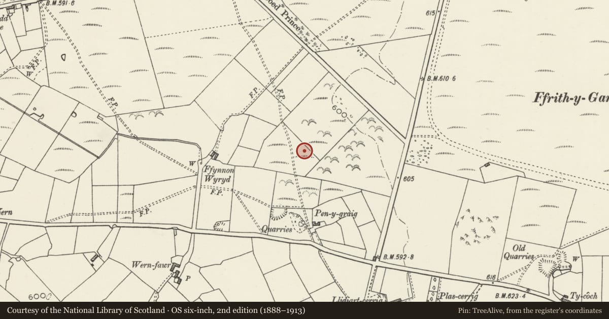 Ordnance Survey six-inch map, 2nd edition (1888–1913) covering the location of Pen-y-graig round barrow, Caerwys, Flintshire, with a pin at the register's coordinates