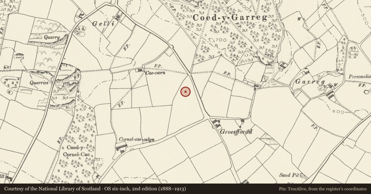 Ordnance Survey six-inch map, 2nd edition (1888–1913) covering the location of Groesffordd round barrows, Whitford, Flintshire, with a pin at the register's coordinates