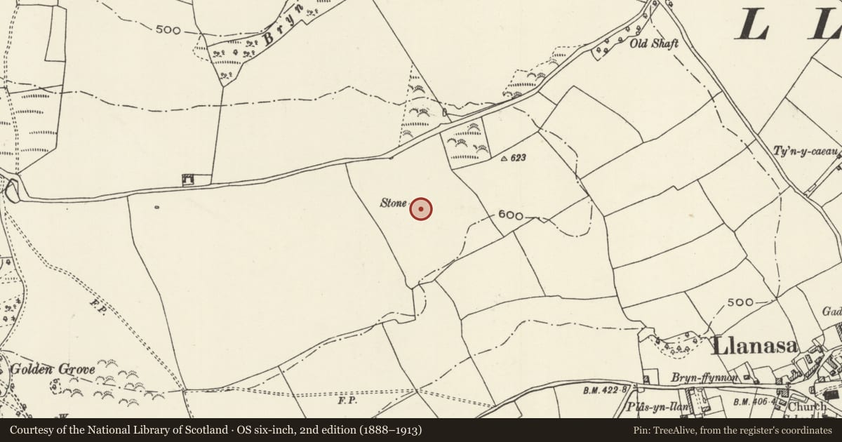 Ordnance Survey six-inch map, 2nd edition (1888–1913) covering the location of Tynewdd round barrow, Llanasa, Flintshire, with a pin at the register's coordinates