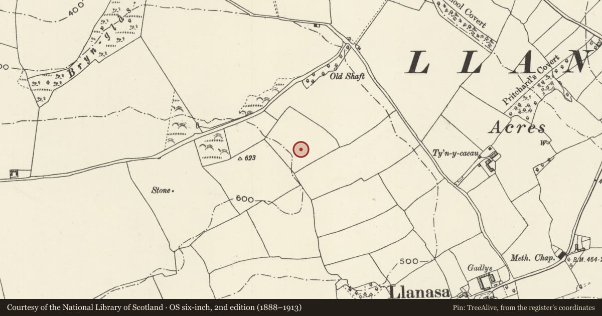 Ordnance Survey six-inch map, 2nd edition (1888–1913) covering the location of Tyn-y-caeau round barrow, Llanasa, Flintshire, with a pin at the register's coordinates