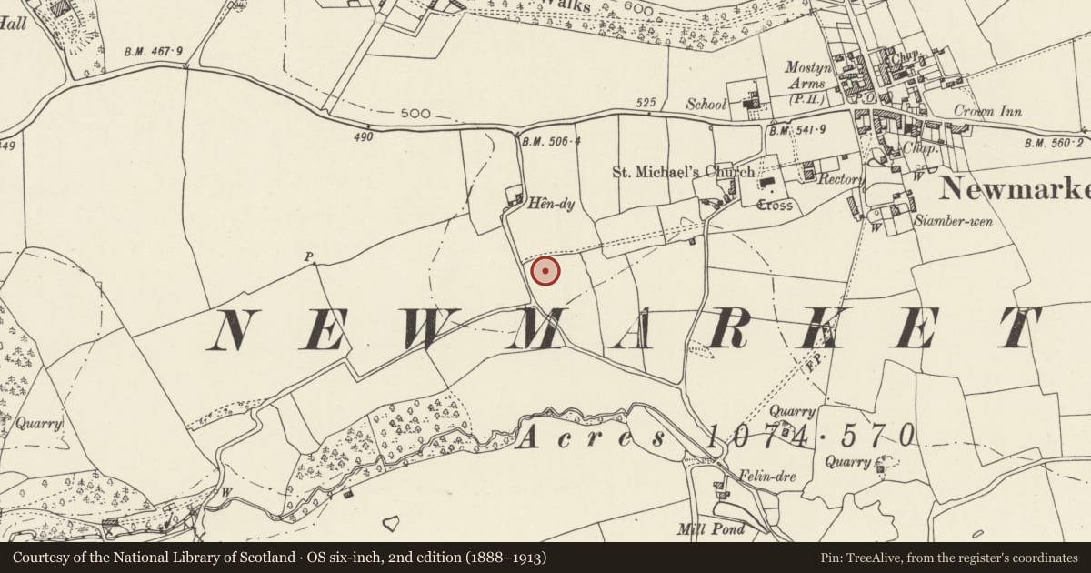 Ordnance Survey six-inch map, 2nd edition (1888–1913) covering the location of Hen-dy round barrow, Trelawnyd and Gwaenysgor, Flintshire, with a pin at the register's coordinates