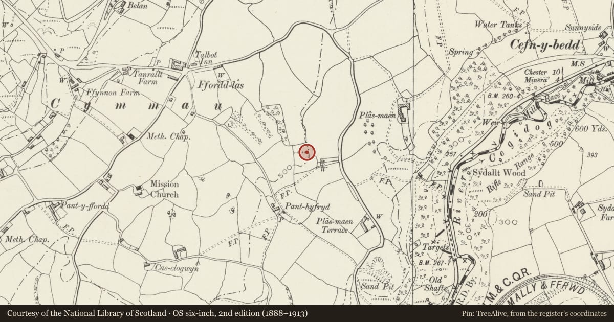 Ordnance Survey six-inch map, 2nd edition (1888–1913) covering the location of Plas Maen Cottage round barrow, Llanfynydd, Flintshire, with a pin at the register's coordinates